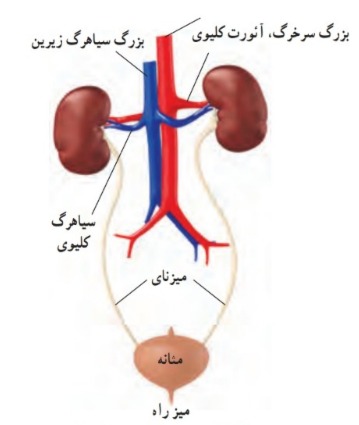 دریافت سوال 26