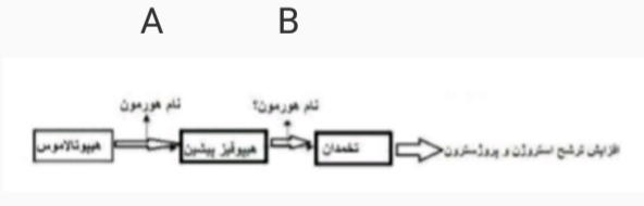 دریافت سوال 6