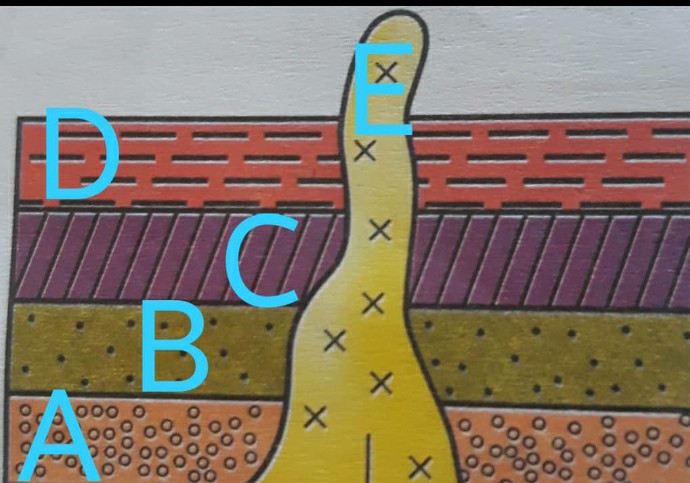 دریافت سوال 9