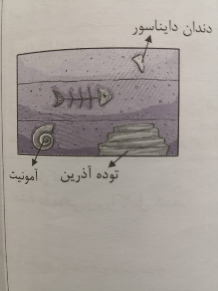 دریافت سوال 14