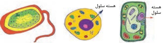 دریافت سوال 14