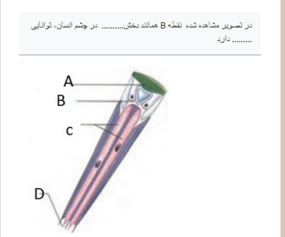 دریافت سوال 16