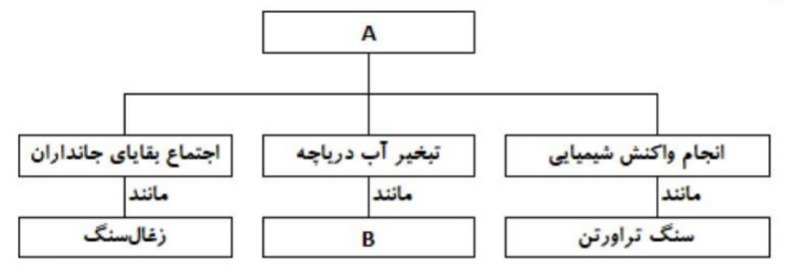 دریافت سوال 18