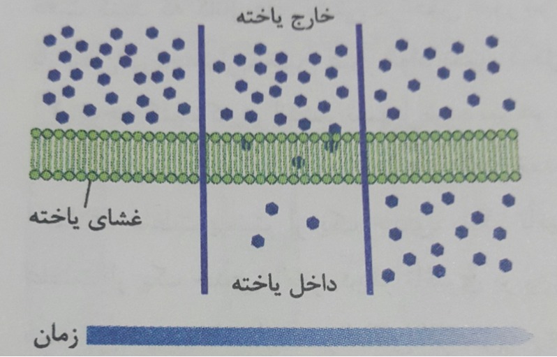 دریافت سوال 19