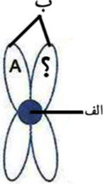 دریافت سوال 20