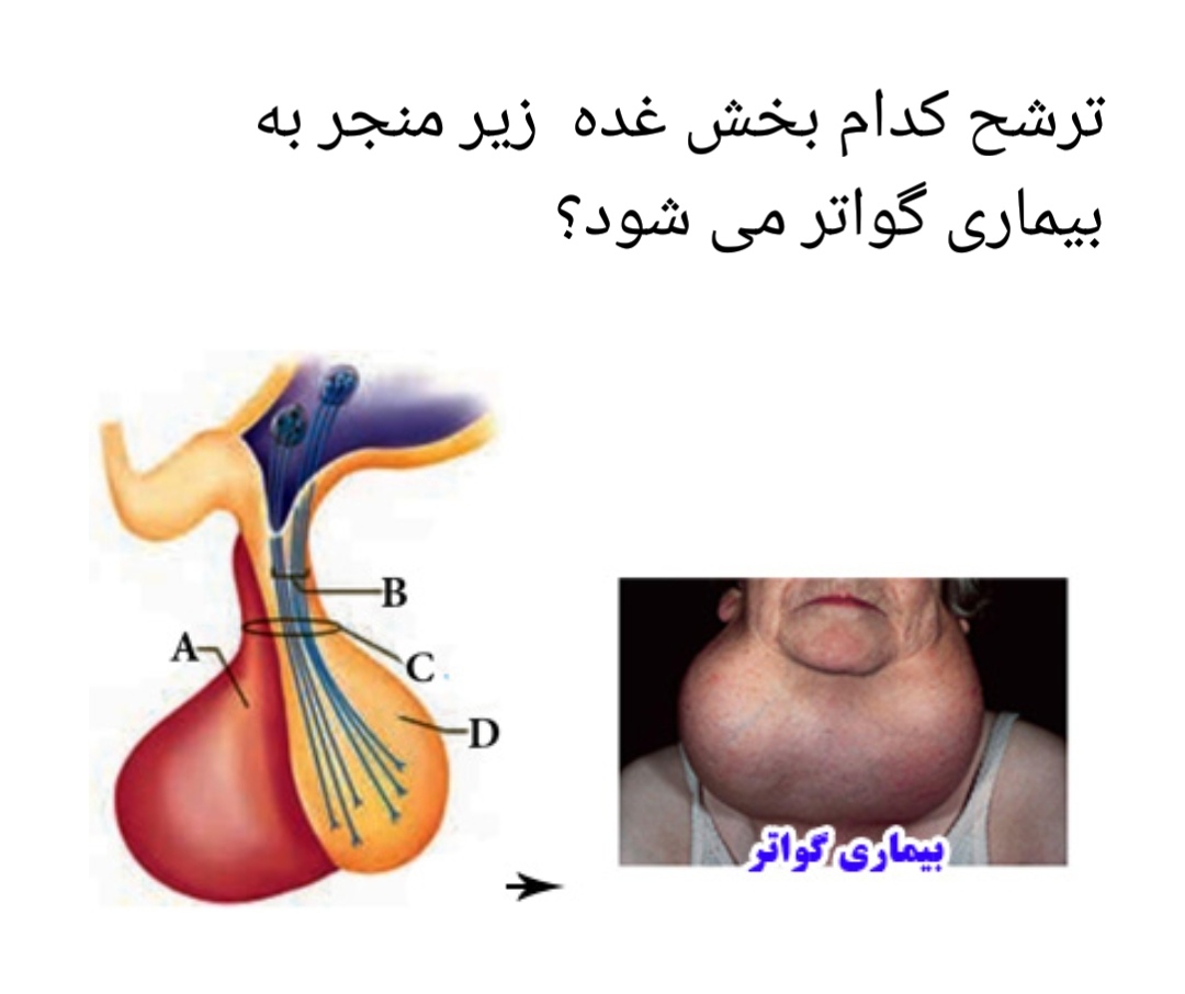 دریافت سوال 17