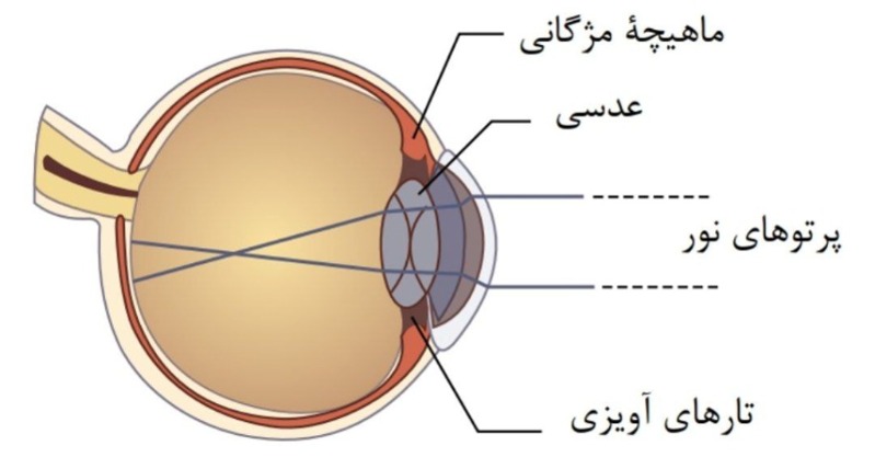 دریافت سوال 13