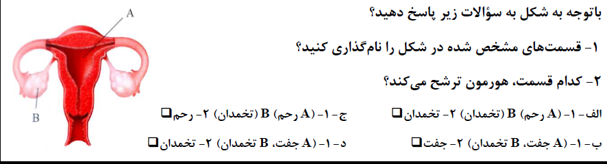 دریافت سوال 20