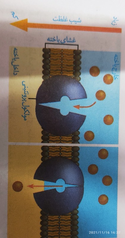 دریافت سوال 8