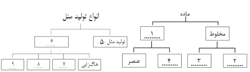 دریافت سوال 13