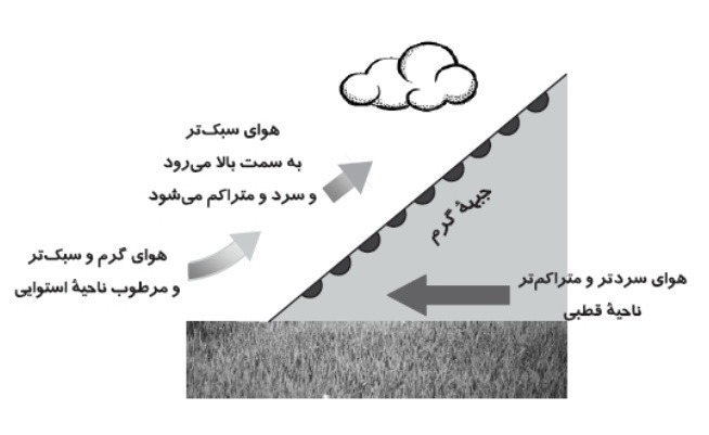 دریافت سوال 31