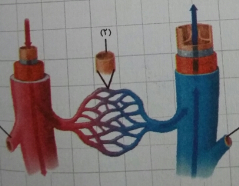 دریافت سوال 21