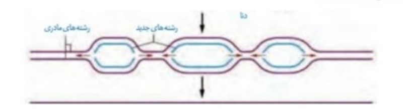 دریافت سوال 5