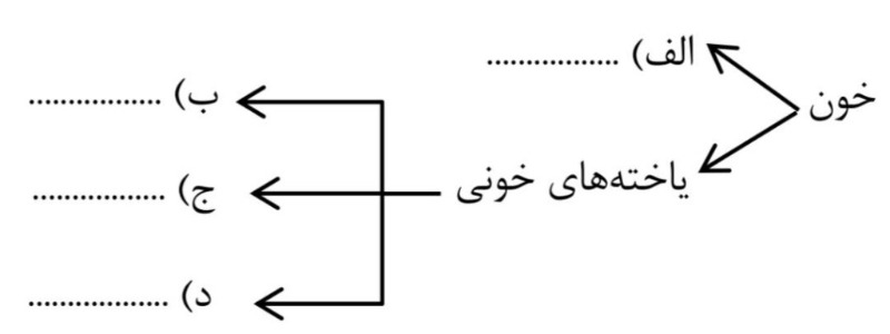 دریافت سوال 21