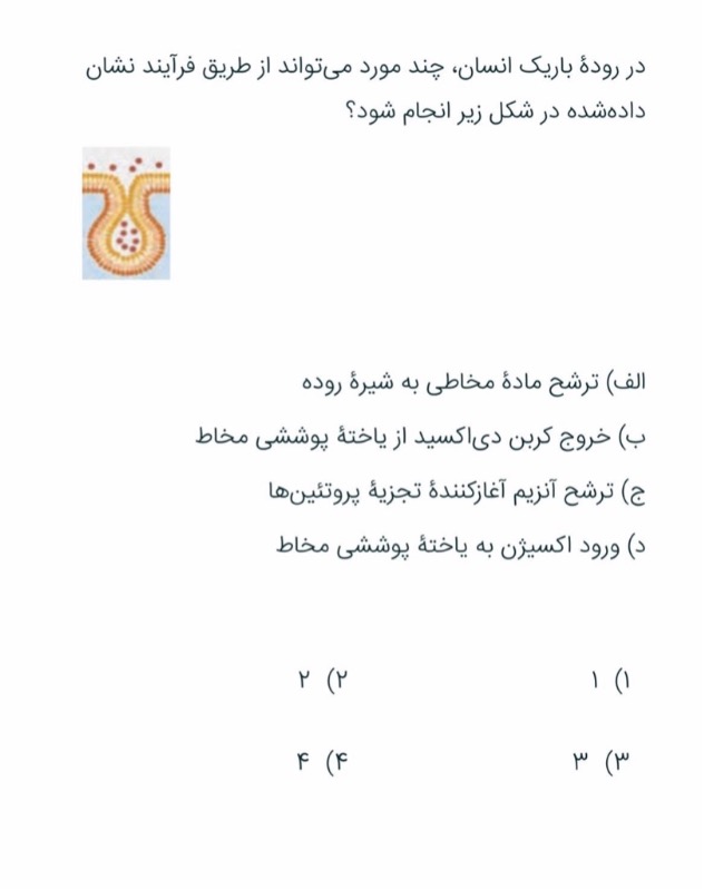 دریافت سوال 33