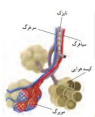 دریافت سوال 24