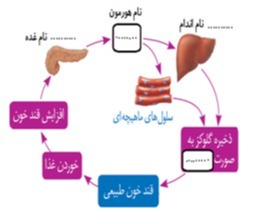 دریافت سوال 9