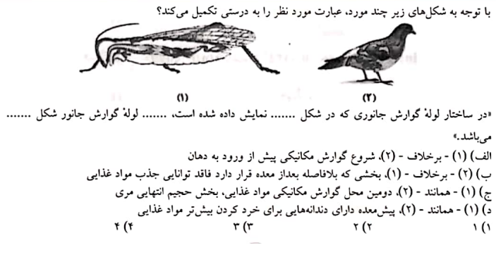 دریافت سوال 10