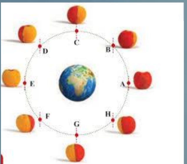 دریافت سوال 5