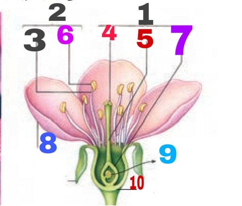 دریافت سوال 21