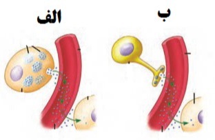 دریافت سوال 7