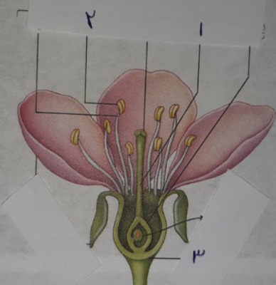 دریافت سوال 20