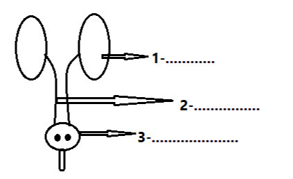 دریافت سوال 13