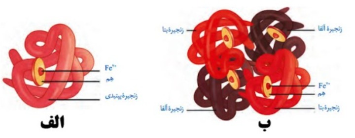 دریافت سوال 9