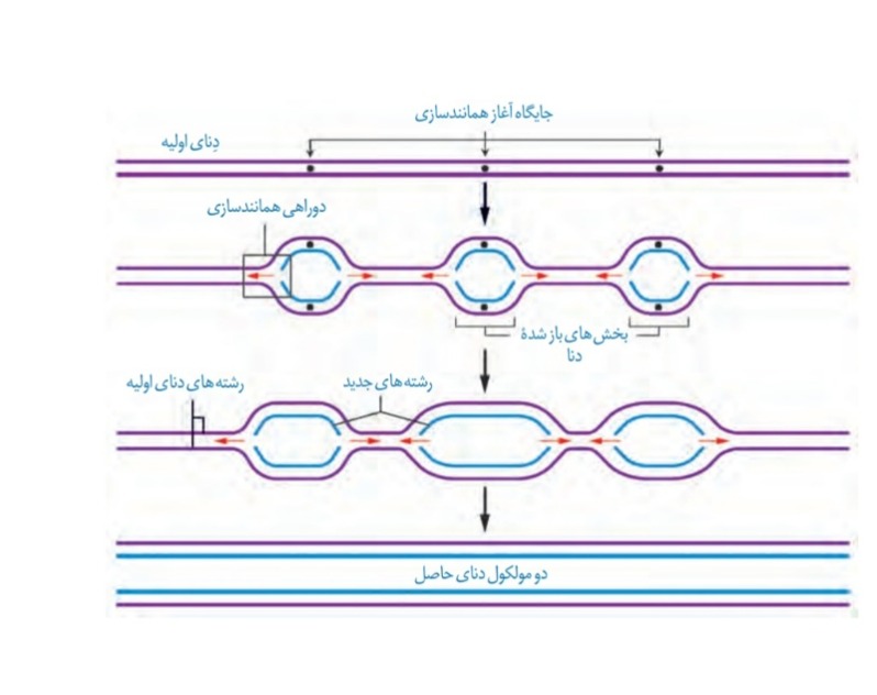 دریافت سوال 21