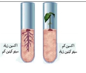 دریافت سوال 28