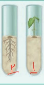 دریافت سوال 21