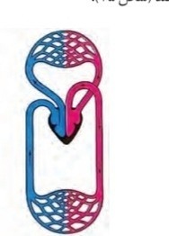 دریافت سوال 8