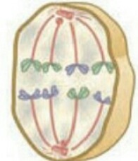 دریافت سوال 6