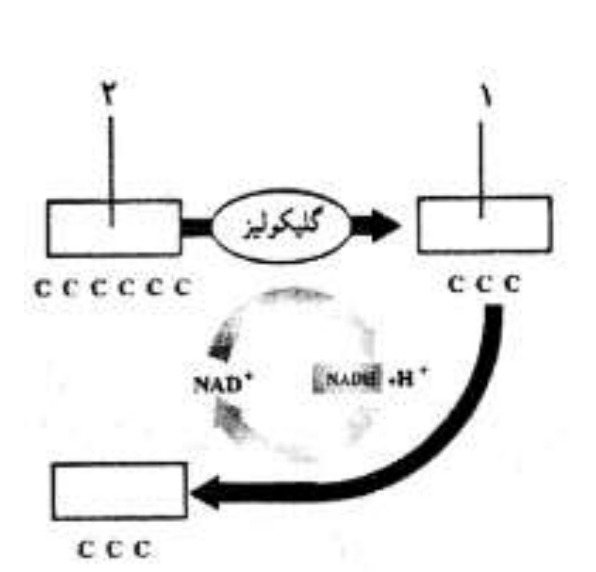 دریافت سوال 2