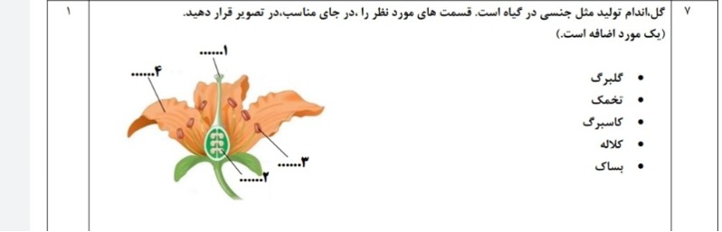 دریافت سوال 8