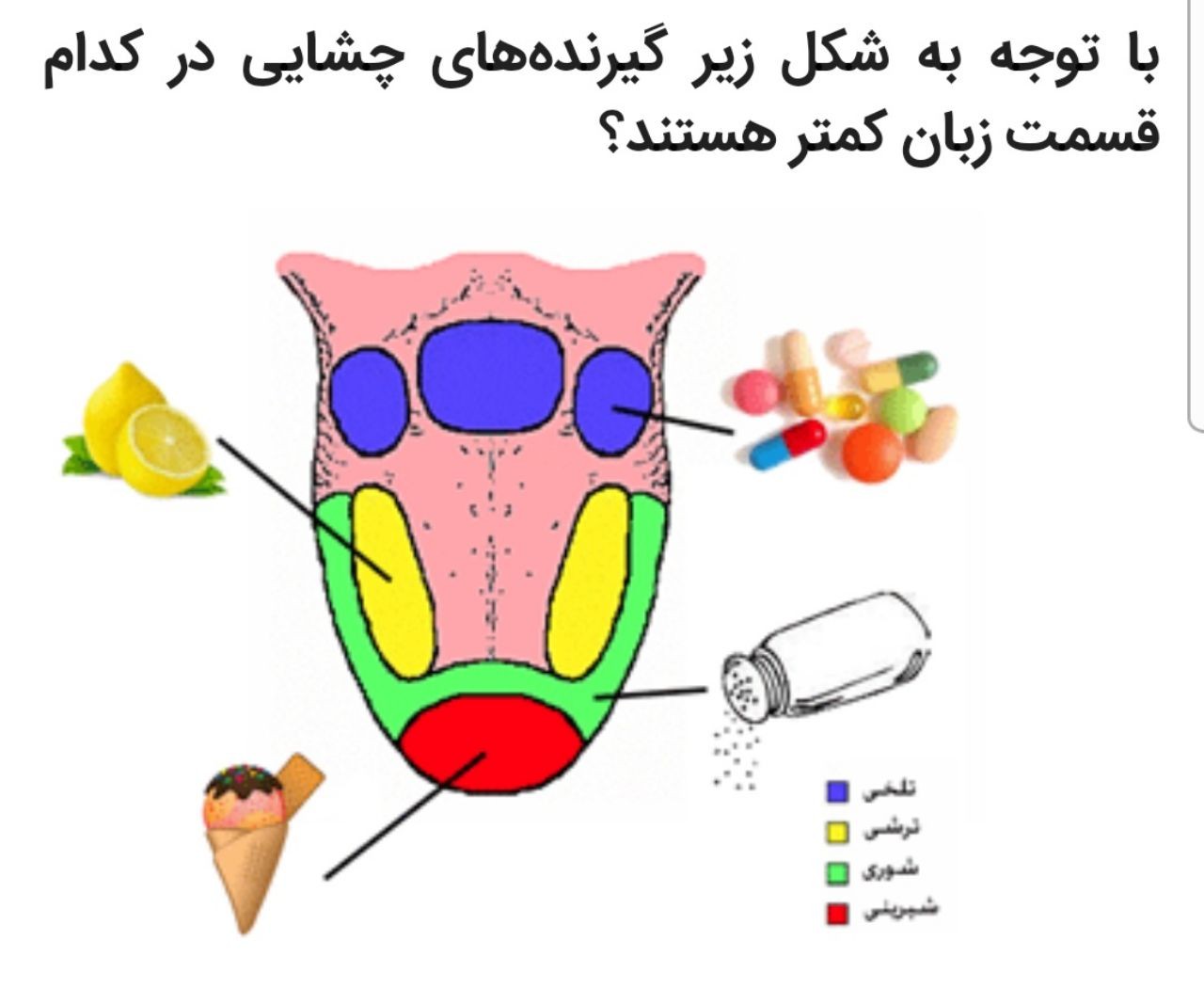 دریافت سوال 4