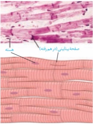 دریافت سوال 9