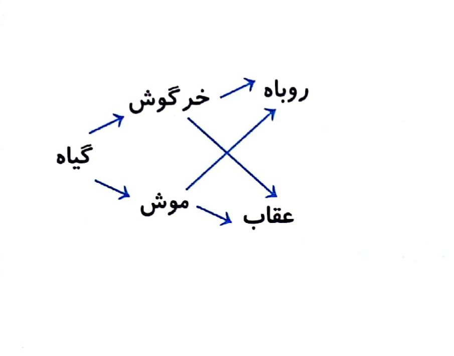دریافت سوال 11