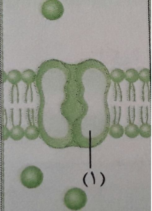 دریافت سوال 3
