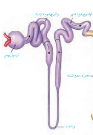 دریافت سوال 19