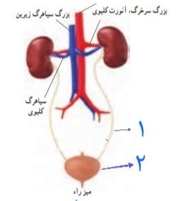 دریافت سوال 31