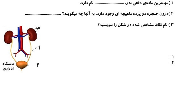 دریافت سوال 24