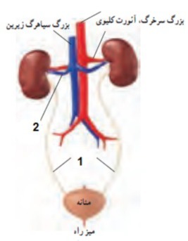 دریافت سوال 14