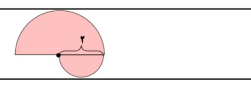 دریافت سوال 1