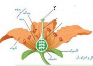 دریافت سوال 14