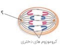 دریافت سوال 18