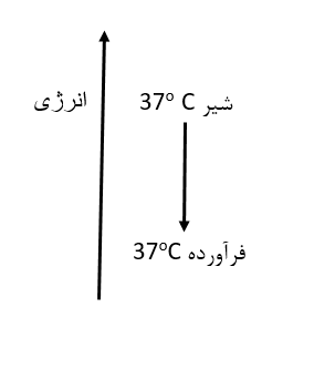 دریافت سوال 11