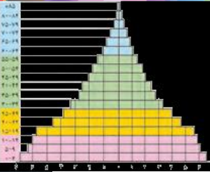 دریافت سوال 6