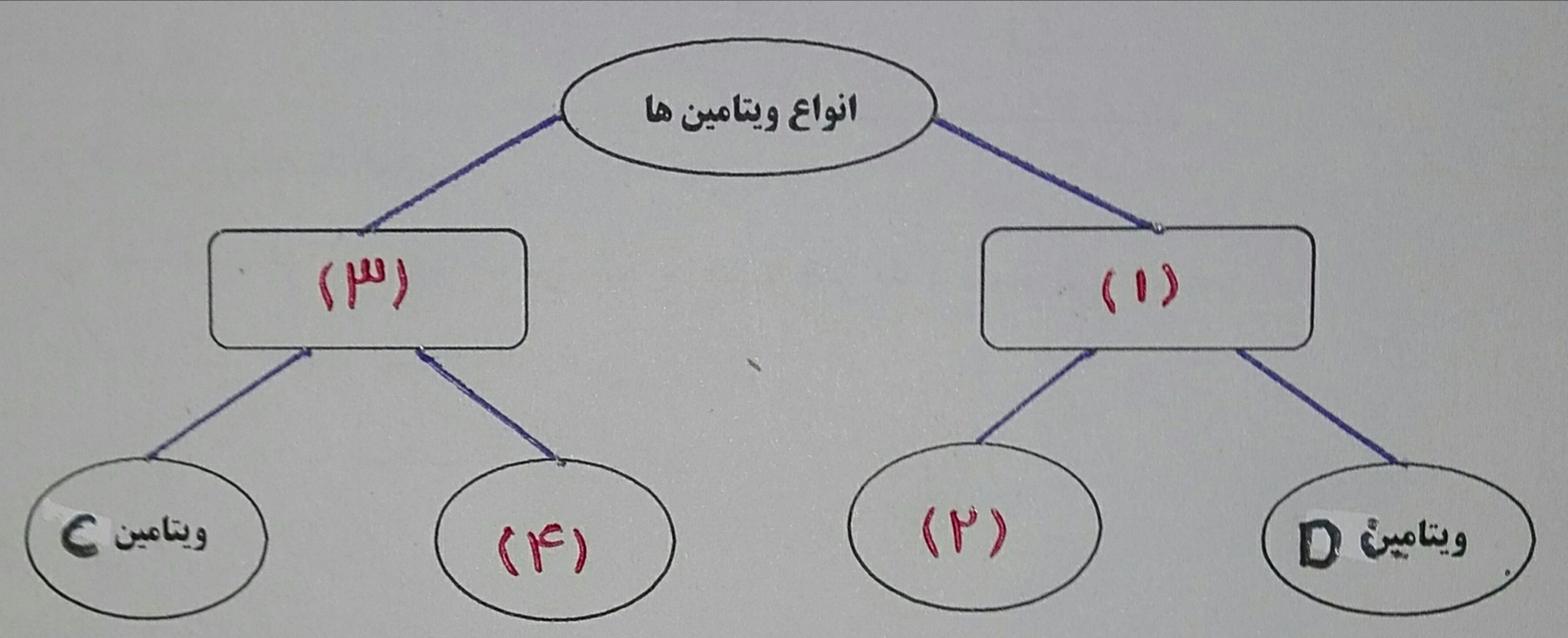 دریافت سوال 13