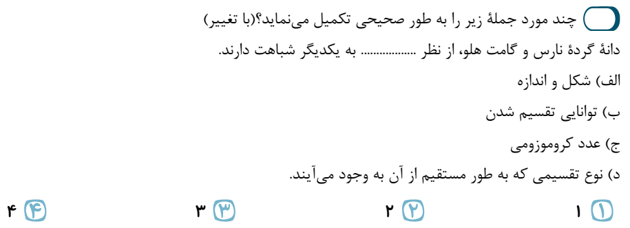 دریافت سوال 13